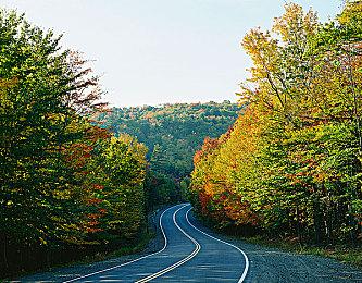 《泡沫明星》最终赛季联动《尼尔：机械纪元》